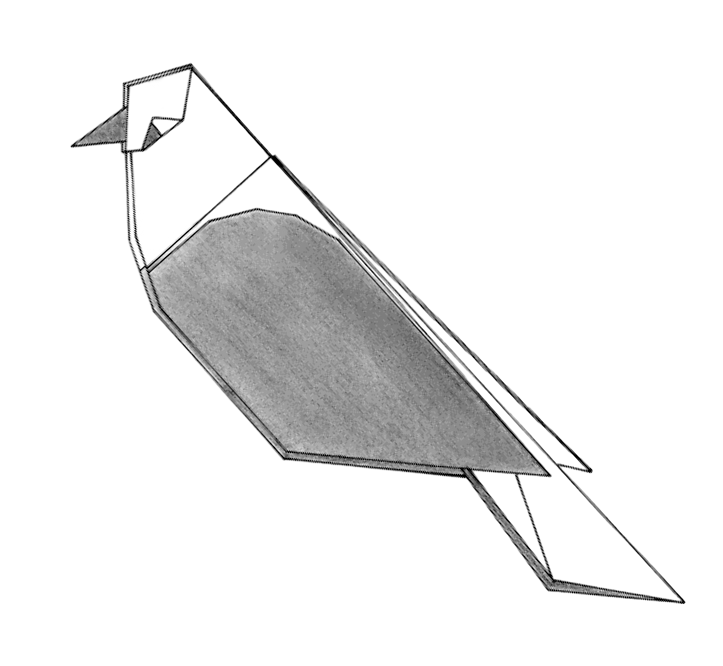 Garden bird