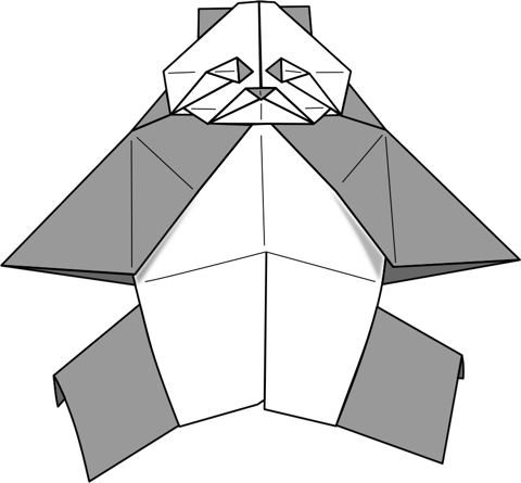 Boar