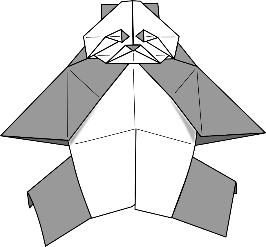 Boar