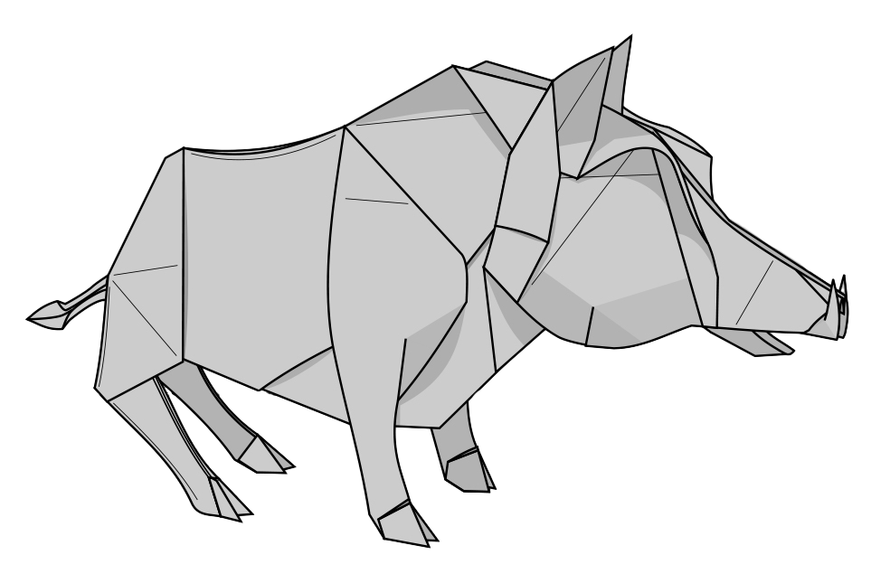 Wild boar
