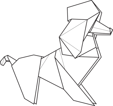 Poodle