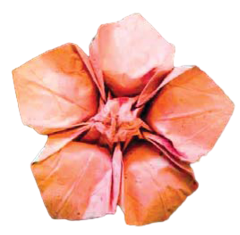 Rainflower blossom