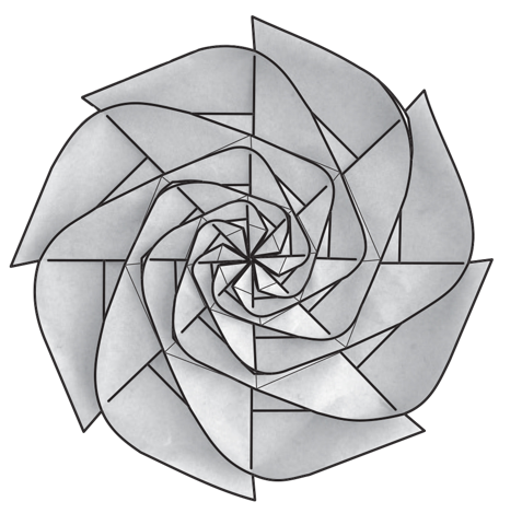 Dan's rossette