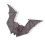 Bat