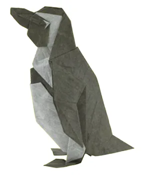 African penguin