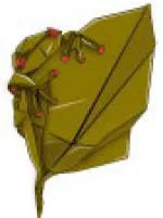 Frog on leaf (Climb Peaks)