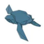 Sea turtle