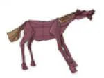 Horse laugh