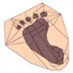 Footprint