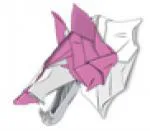 Wolf head