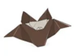 Bat