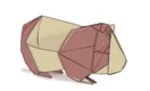 Guinea pig