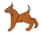 Lynx