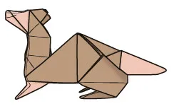 Ferret