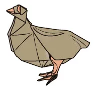 Partridge