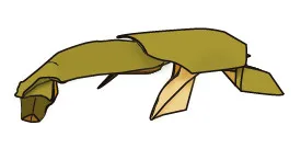 Snake necked turtle