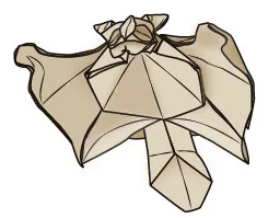 Flying squirrel