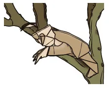 Sloth