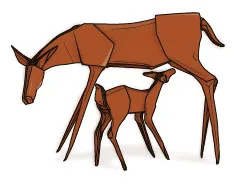 Doe - Mother's day