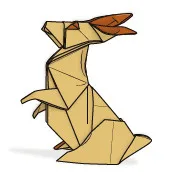 Zai