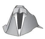 Walrus I