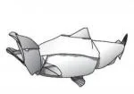 Salmon- sockeye