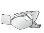 Blunt-nosed vinesnake