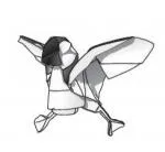 Puffin - flying