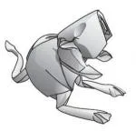 Kangaroo rat