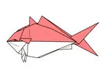 Yellowtail (farmed)