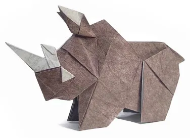 Rhinoceros baby