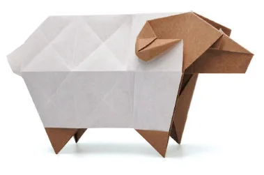 Sheep