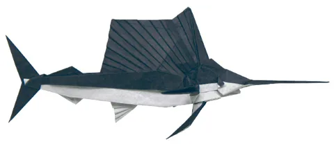 Sailfish