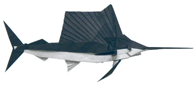 Sailfish
