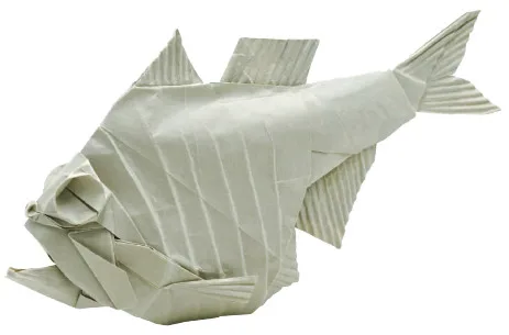 Hatchet fish