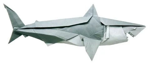 Shark