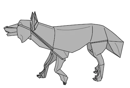 Gray wolf