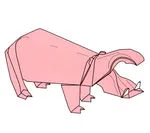 Hippopotamus