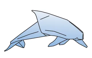 Bottlenose dolphin
