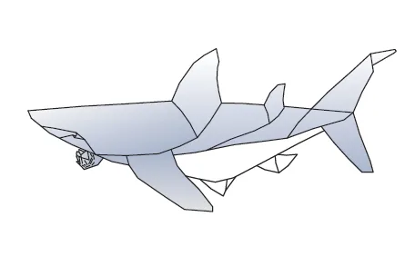 Great white shark