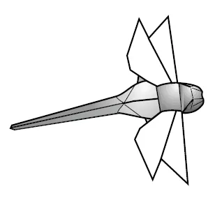 Dragonfly