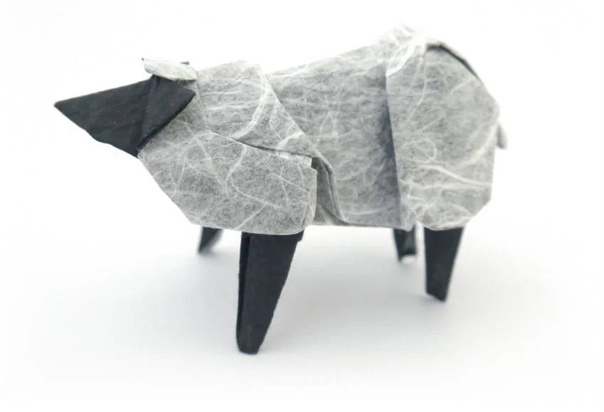 Sheep