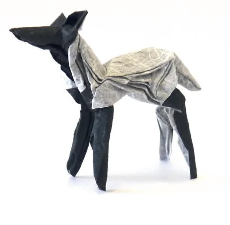 Lamb