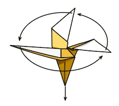 Dipterocarp seed
