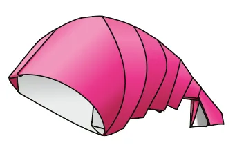 Shrimp hat