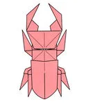 Stag beetle