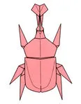 Japanese rhinoceros beetle
