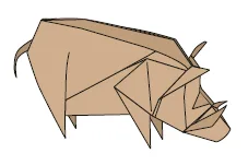 Wild boar