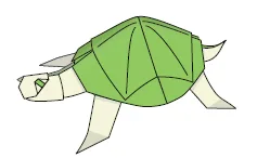 Tortoise