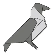 Hooded crow